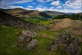 446 - cumbrian wall - COTTON Vivien - united kingdom